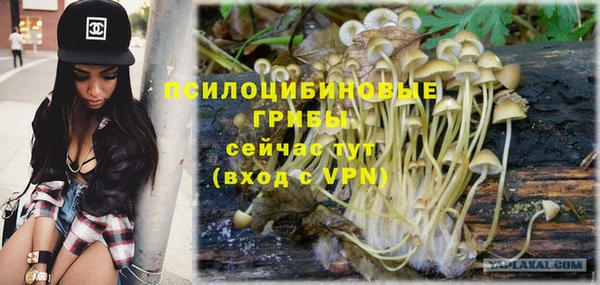 тгк Алексин