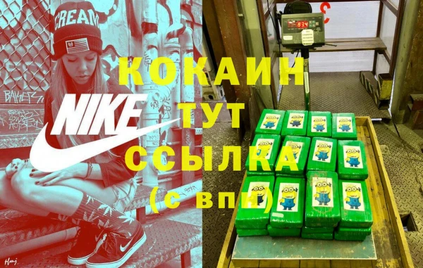 стаф Алзамай