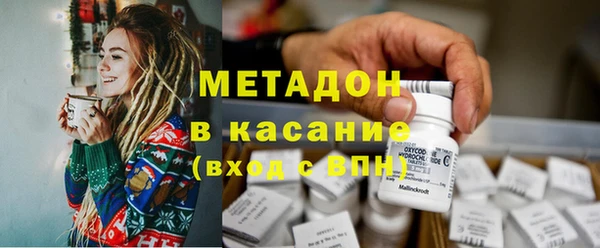 стаф Алзамай